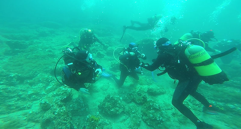 Corso Open Water Diver